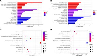 Corrigendum: Comprehensive analysis of the transcriptome-wide m6A methylome in lung adenocarcinoma by MeRIP sequencing